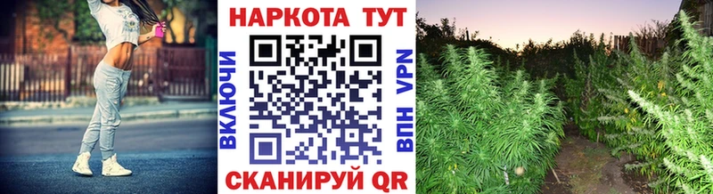 Все наркотики Ворсма Псилоцибиновые грибы ГАШ Бошки Шишки КОКАИН