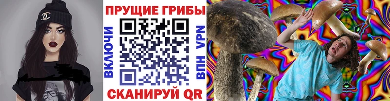 гидра зеркало  Ворсма  Псилоцибиновые грибы Psilocybe 