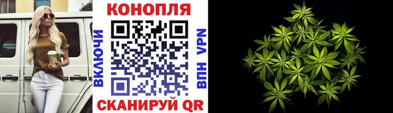 Марихуана Bruce Banner  цены   Ворсма 